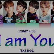 I Am You Skz2020