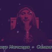 Салават Мансура Магомедова