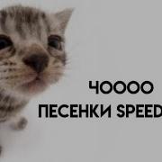 Комфортные Песни Speed Up Под Которую Можно Делать Дз И Так Далее