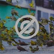 Skylike Takeoff No Copyright Music