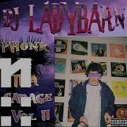 Dj Ladybarn Bystander