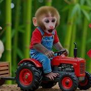 On On Nana
