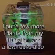 Tetra Float
