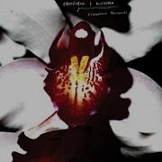 David Lynch Crystabell Cellophane Memories