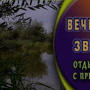 Вечерние Звуки Близ Деревни Пруд Сверчки