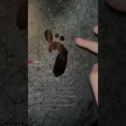 Видео Видео Это Прекрасно
