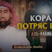 Habib