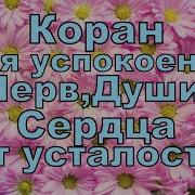 Коран Для Успокоения Нерв Души Сердца От Усталости