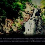 Омар Хишам Omar Hisham Сура Аль Имран 169 175 Hd