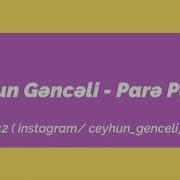 Ceyhun Genceli Pare Pare