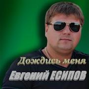 Евгений Есипов Дождись