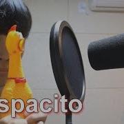 Luis Fonsi Despacito Chicken Band Ver Cover By Big Marvel