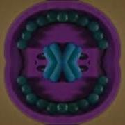 Zoopals G Major 325