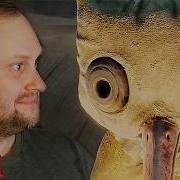Reanimal