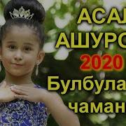 Асал Ашурова Булбулакони Чаманим