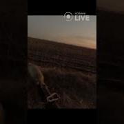 Добро Пожаловать В Украину Сука