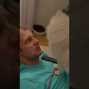 Поцелуешь Меня Стану Красивым Принцем