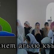 Женский Маджлис В Медресе В Сел Халимбекаул