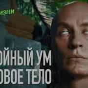 Медитация Ян Спартак Поединков