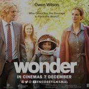 Wonder