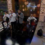 Shen Chemo Gogo Shen