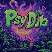 Psy Dub Reggae