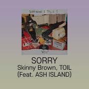 애쉬 아일랜드 Ash Island X 스키니브라운 Skinny Brown X 토일 Toil Sorry Lyrics 가사 Eng Sub
