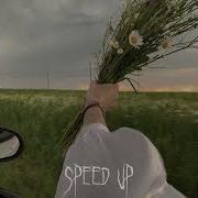 Джованна Speed Up