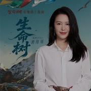 生命树 Ost