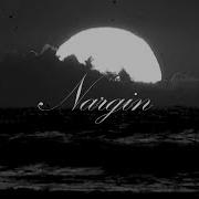 Pranga Nargin