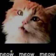 Meow Mix Song