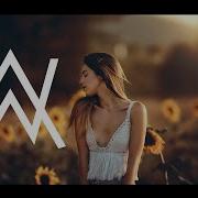 Alan Walker Winter