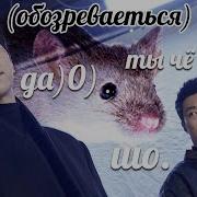 Мышь Дорама