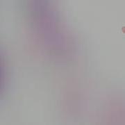 Песня Rarity And Sweetie Belle Tribute