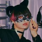 Chogakusei Cat Loving