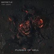 Flames Of Hell Remix Tim Diannefretle