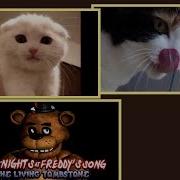 Cat Meow Sings Five Nights At Freddy S Song