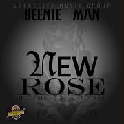 New Rose Dance