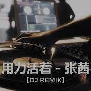 张茜 用力活着 Djlc Remix 2020 超好听 Yong Li Huo Zhe Dj舞曲 慢摇