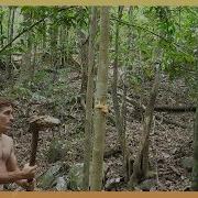 Antarum