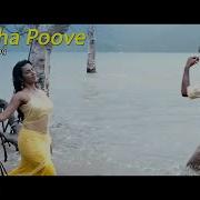 Anirudh Ravichander Velicha Poove From Ethir Neechal