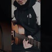 Bednov Covers