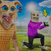 Флейзин