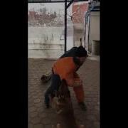 Малинуа Malinois В Работе