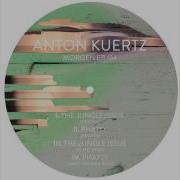 Anton Kuertz