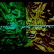 Мало Огня Electric Version
