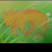 Sss Warrior Cats Intro