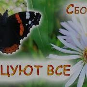 Шансон Гуляночка 2017 Зажигательные Песни Танцуют Все Сборник Лучший