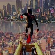 Spider Man Into The Spider Verse