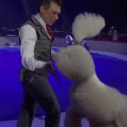 Музыка Цирковая Пуделя